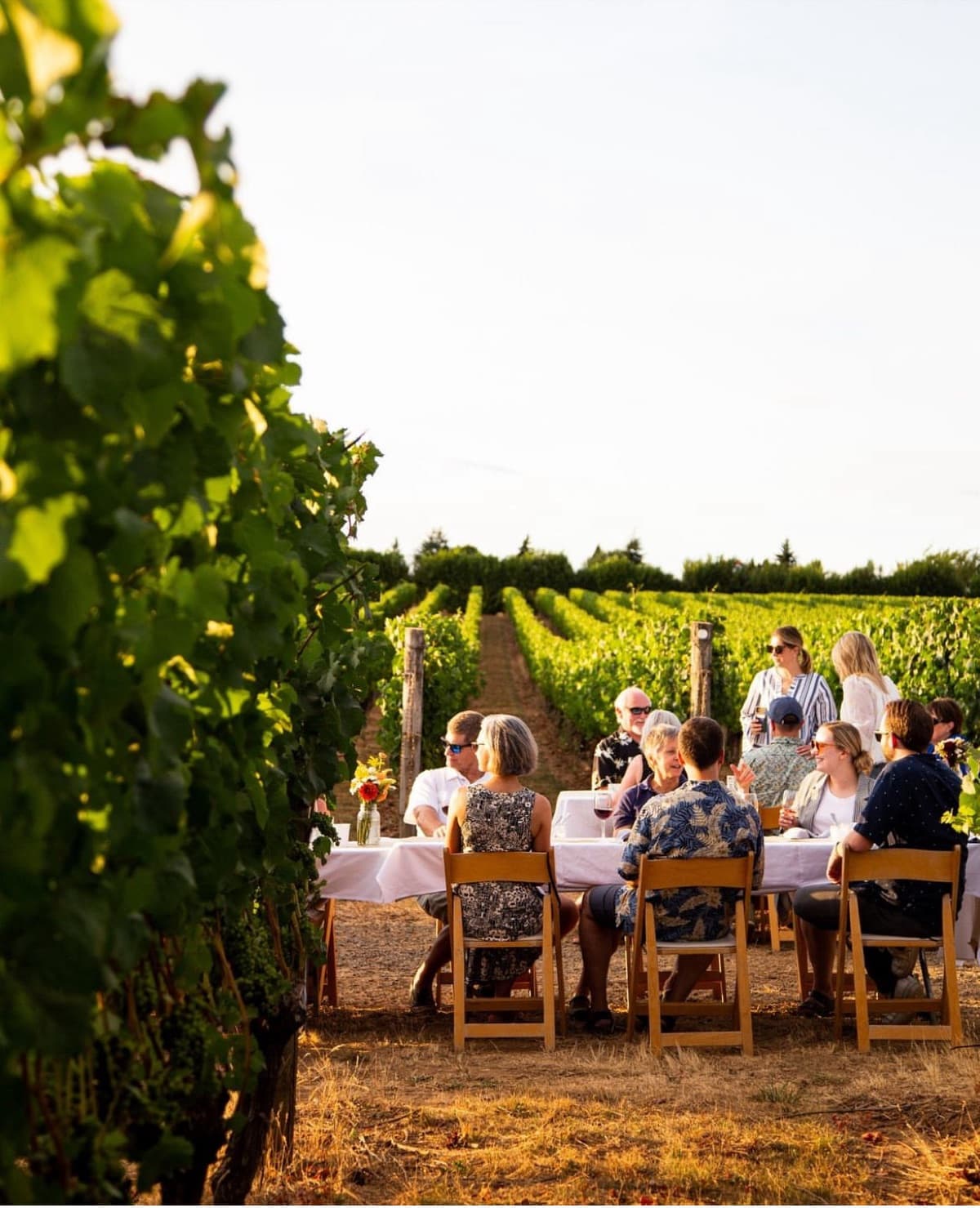 Multi-course wine and food pairing on an Oregon wine tour — Hidden Vineyards Elevated All-Inclusive Package
